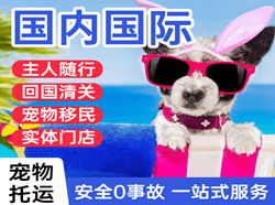 晋江机场货运国际宠物托运 【国